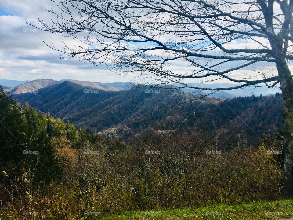 Fall Smoky Mountains 
