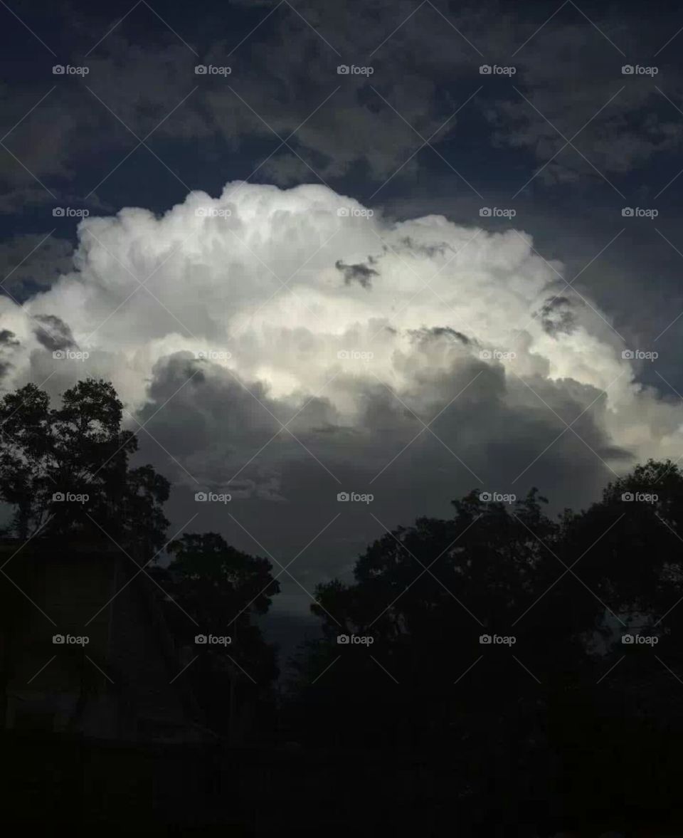 Florida thunderhead