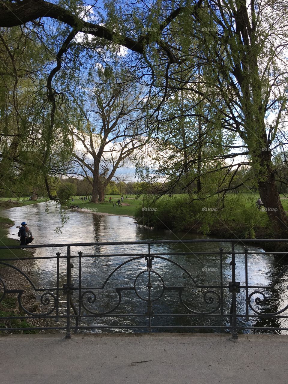Englischer Garten 