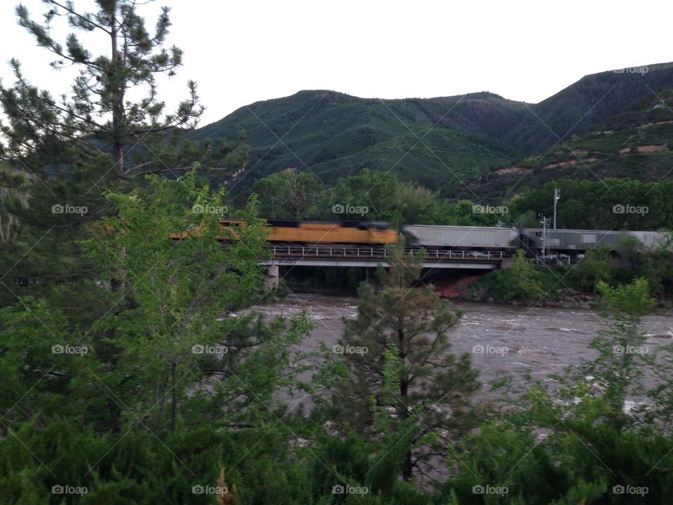 Train in the wilderness 