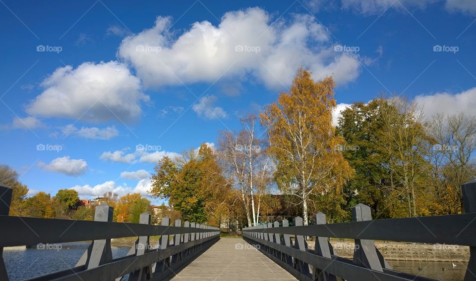 Autumn in city