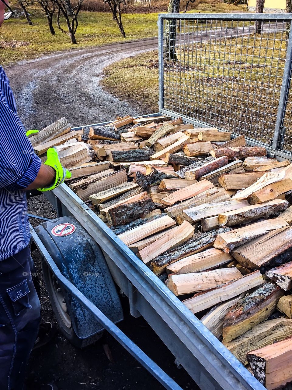 Firewood in a trailer