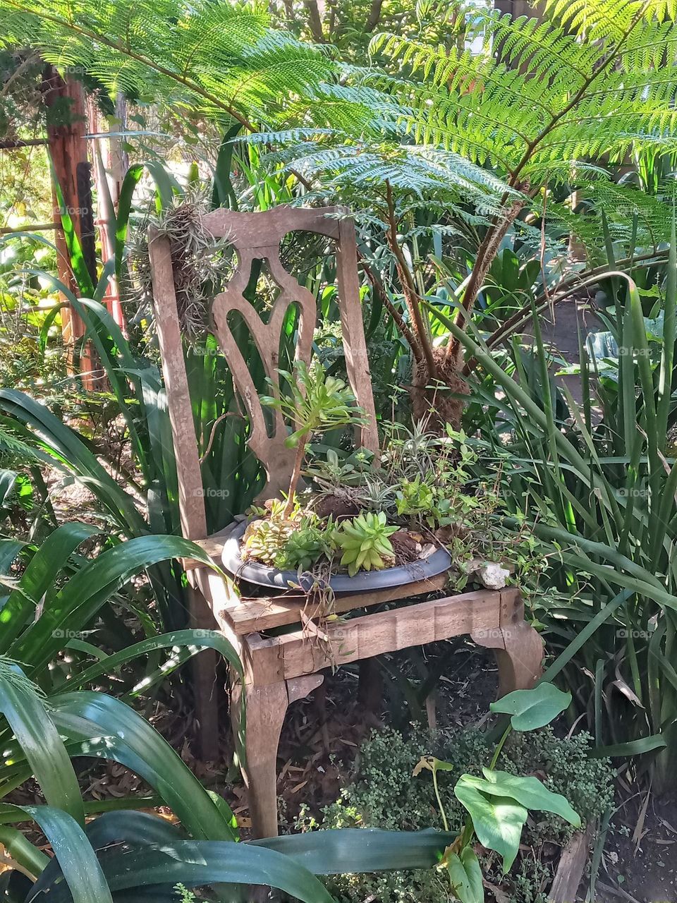 What's that doing here??