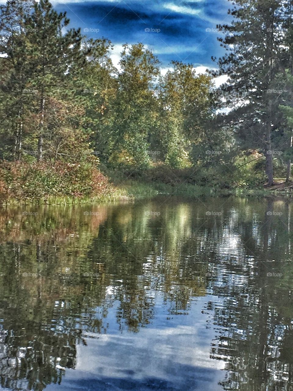 Lakeside tranquility