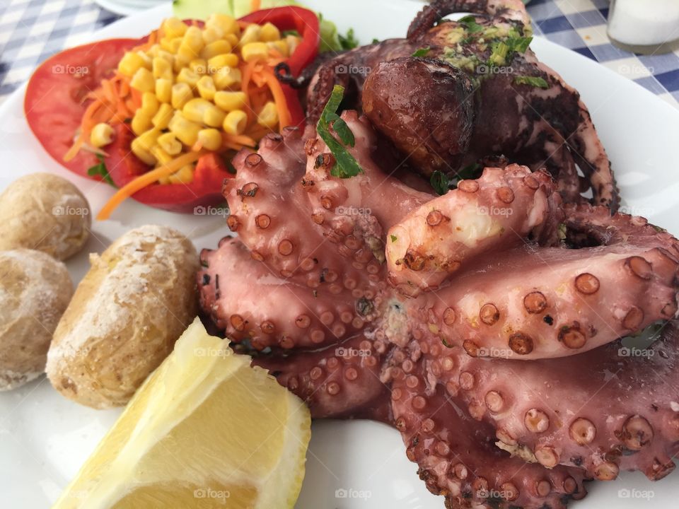 Pulpo