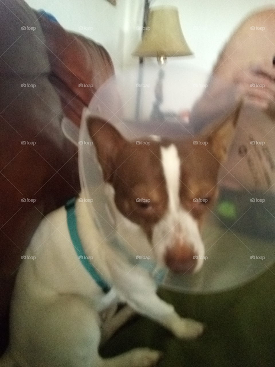 I have gotten my man Hood takin away and I'm not very happy about that. glad I'm home.