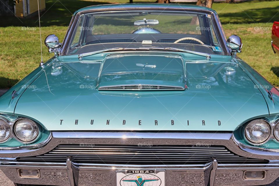 Blue Thunderbird