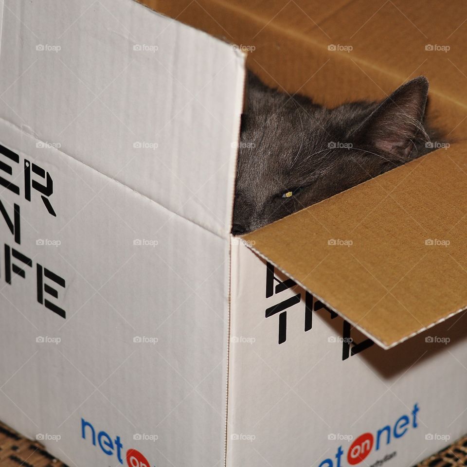 Hiding in a box