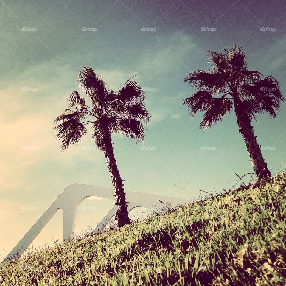 Valencia Stree Circuit