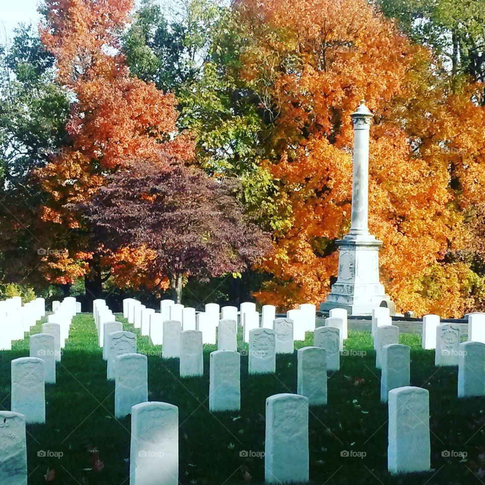 fall at the national cemetery