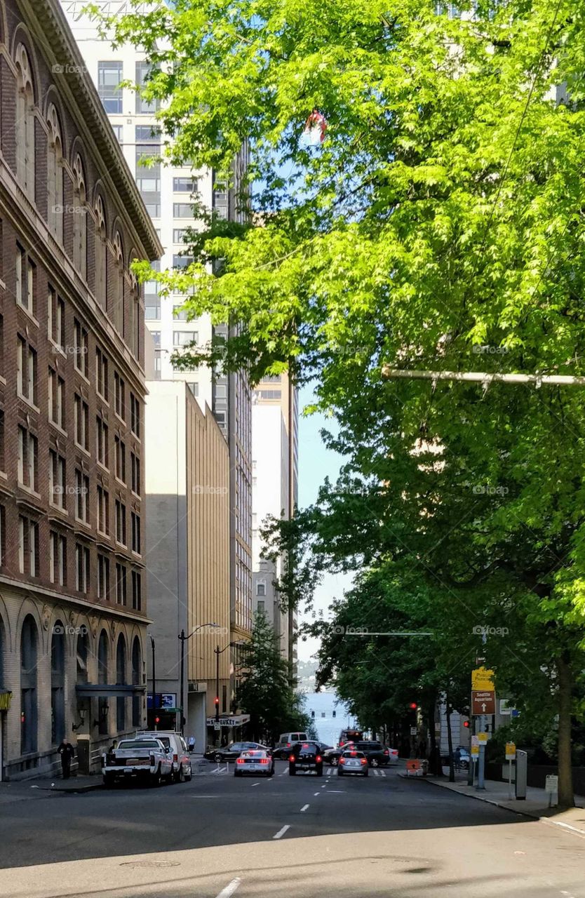 Street view from Seattle, Washington, USA