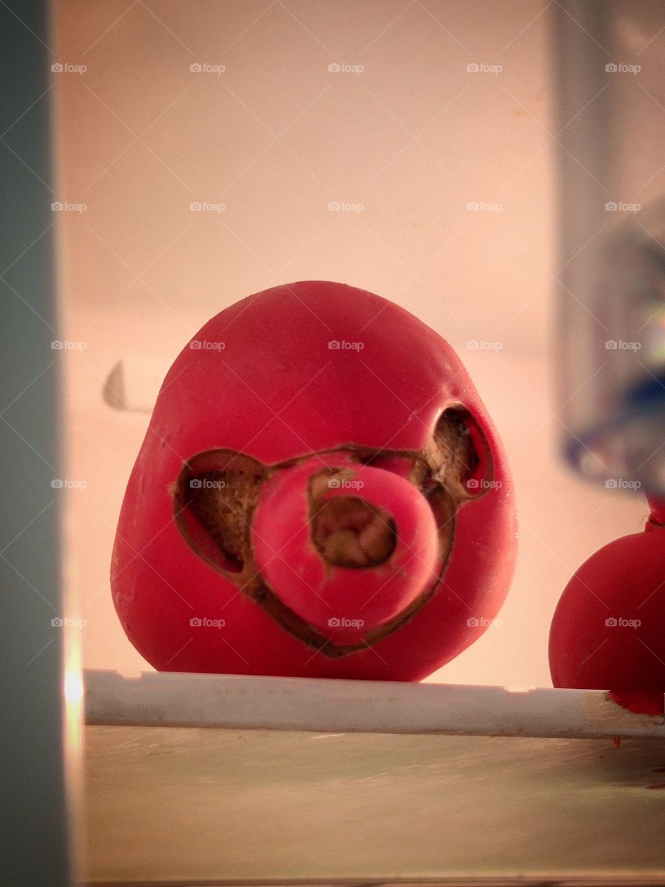 ajar refrigerator.  there is a tomato on the top shelf that looks like a human face