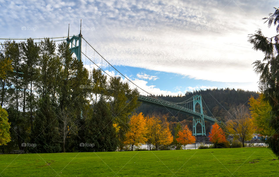 Cathedral Park/St John's Bridge
Portland, Oregon