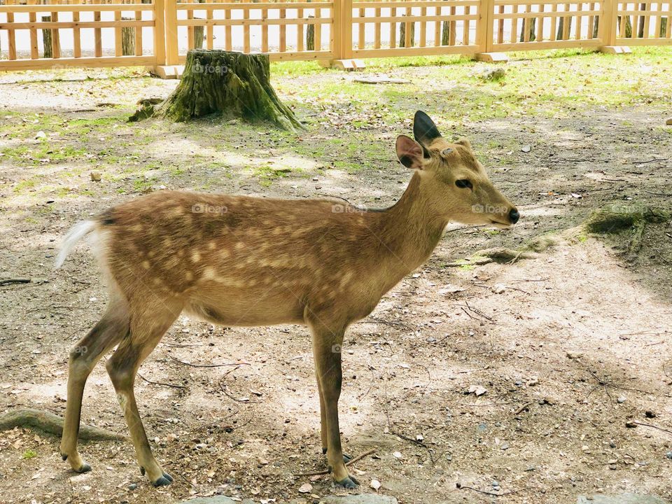 What you looking for ? 👀