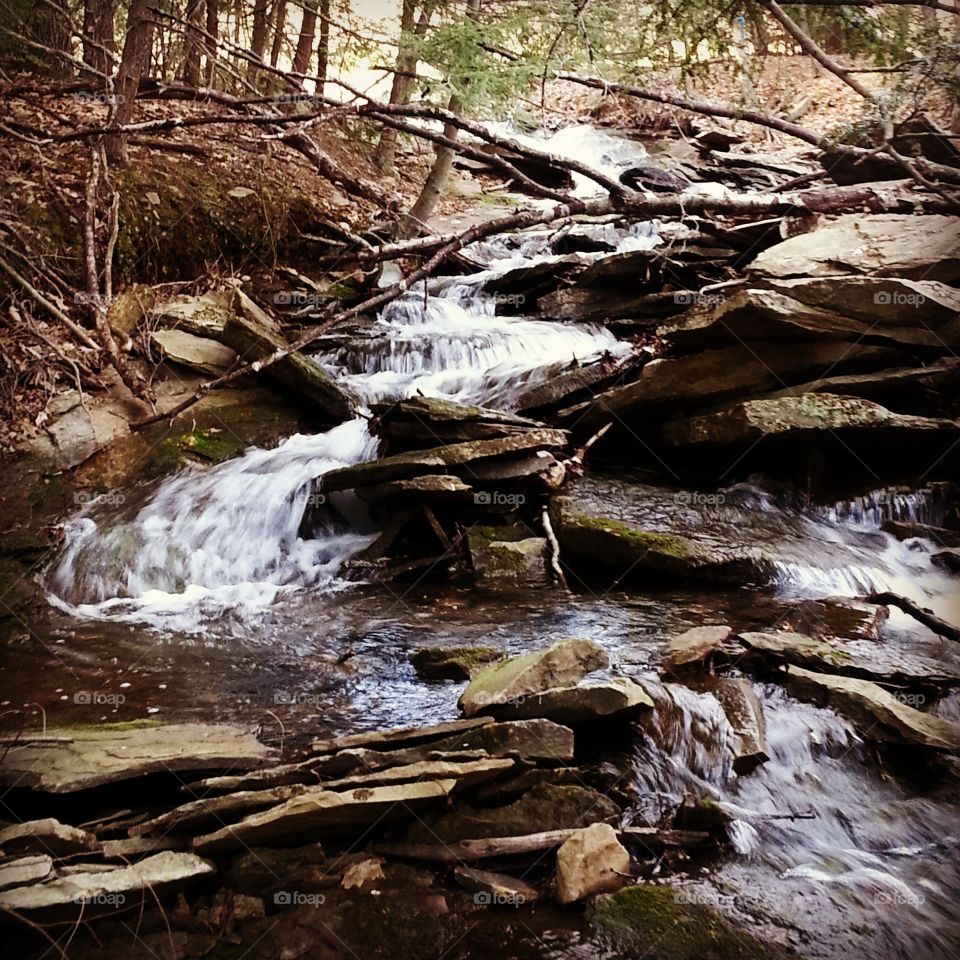 Steady Stream. A small brook babbles deep in the woods, only audible to those who seek adventure.