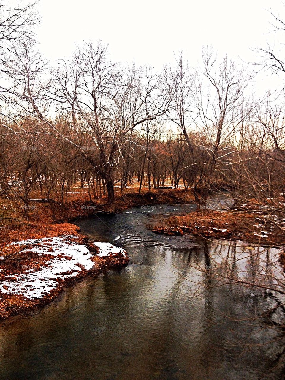 Winter stream