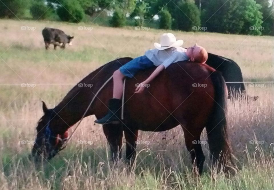 Lazy Boy and His Wonder Horse