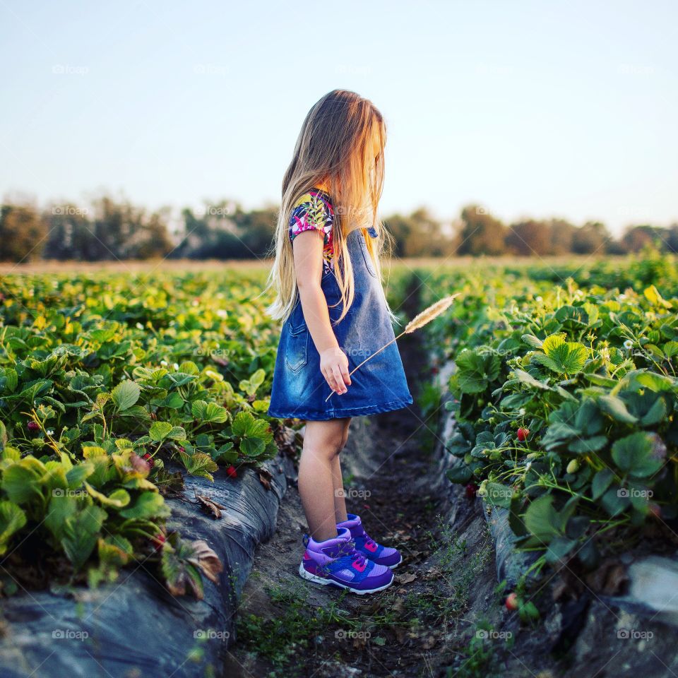 Child, Girl, Nature, Summer, Leisure