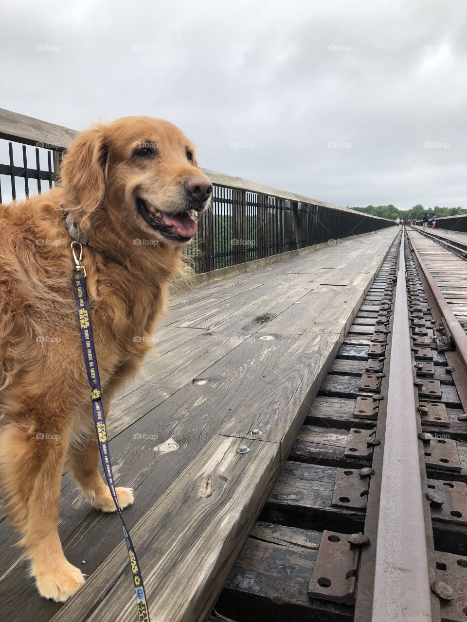 Walking along the old tracks 