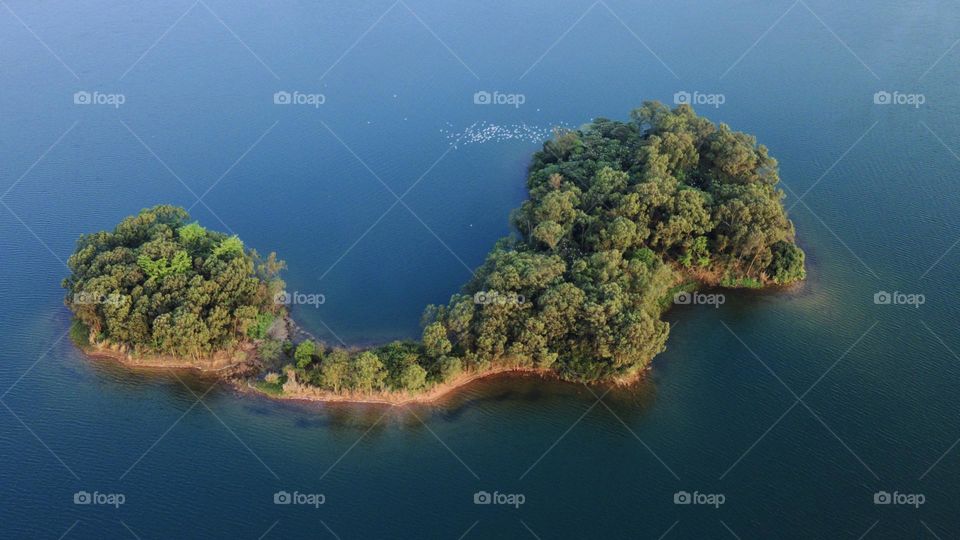 Tiny little Island of birds in the middle of water reservoir 