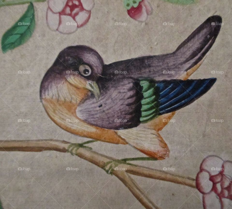 Painted bird