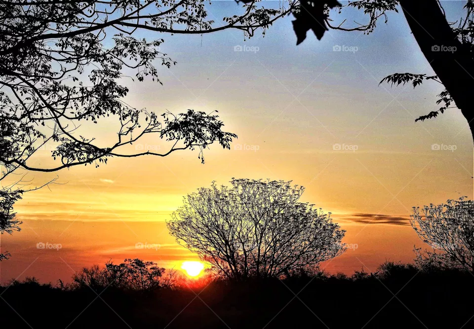 Colores
