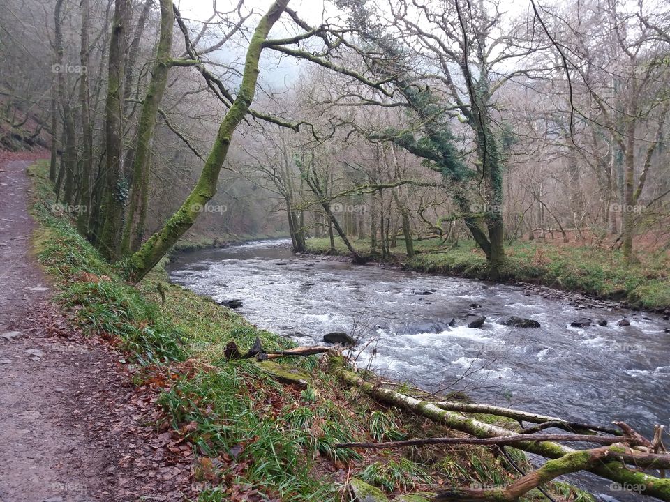 river Barle