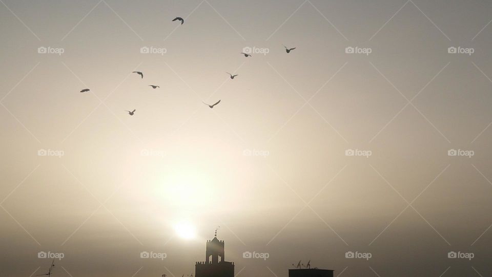 Behind the minaret  are flocks of pigeons flying in the sky depositing the sunset.