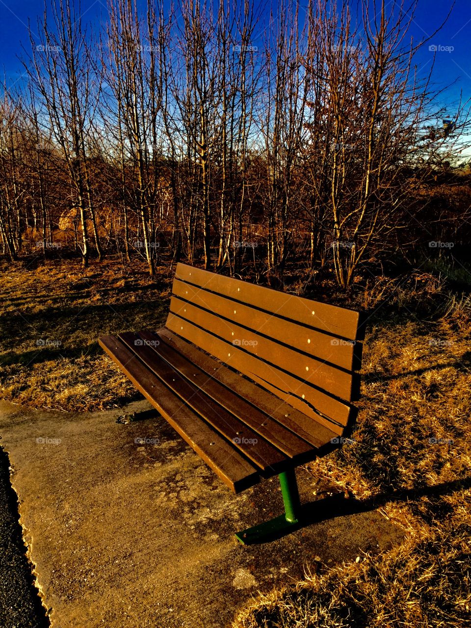 Lonely bench