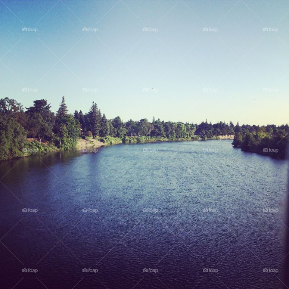 American River, Sacramento, CA . Spring morning bike ride to work, admiring the American River from a bridge at River Bend Park. 