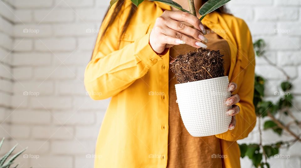 woman planting plants