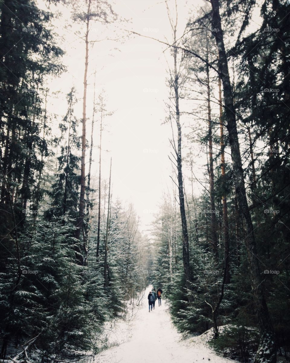 Distant view of people in winter