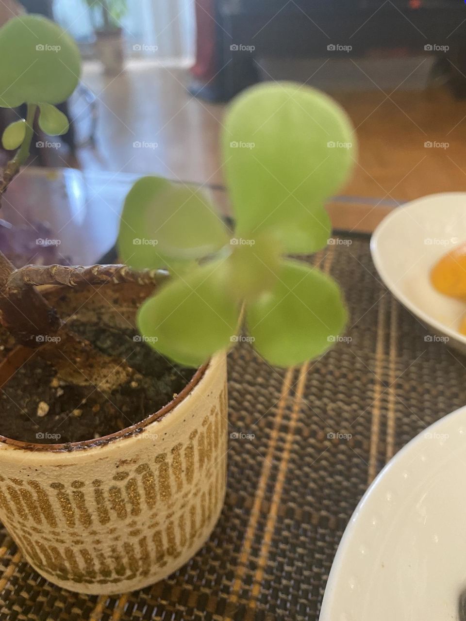 Up close and personal 