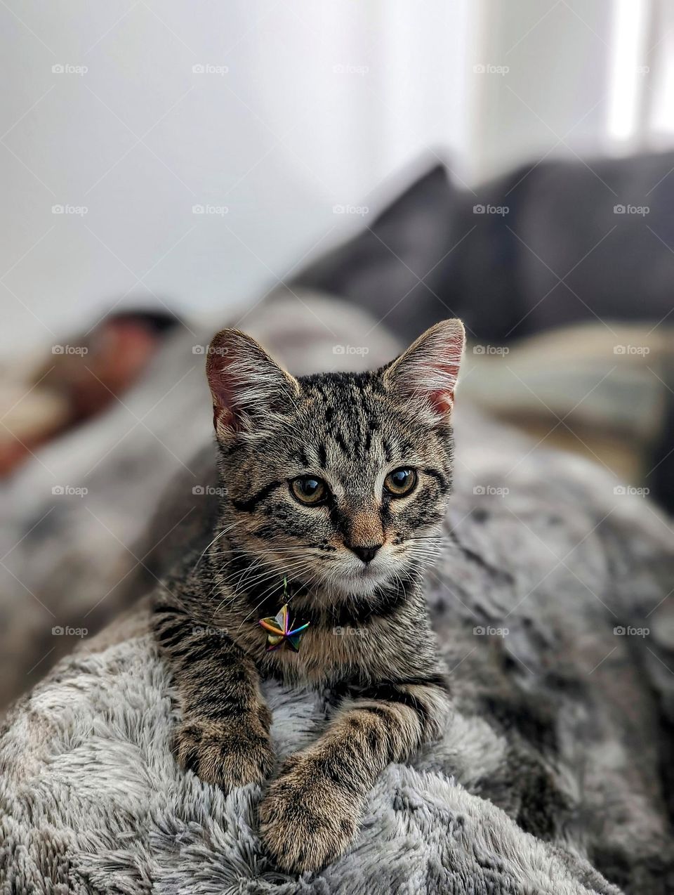 Luna chilling while I sleep the day away! Rest and Relaxation finally a day off!