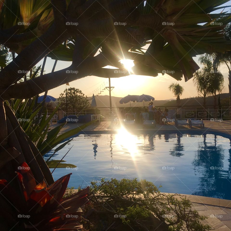 O entardecer com o sol e o reflexo na piscina. Viva a natureza tão bonita e inspiradora. 