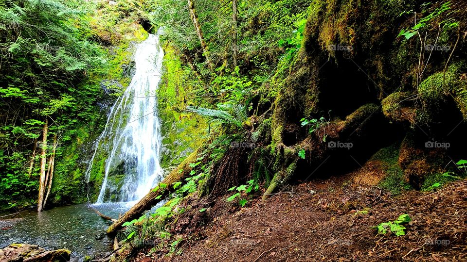 Madison Falls in the Olympic National Forest is an experience you have to have.