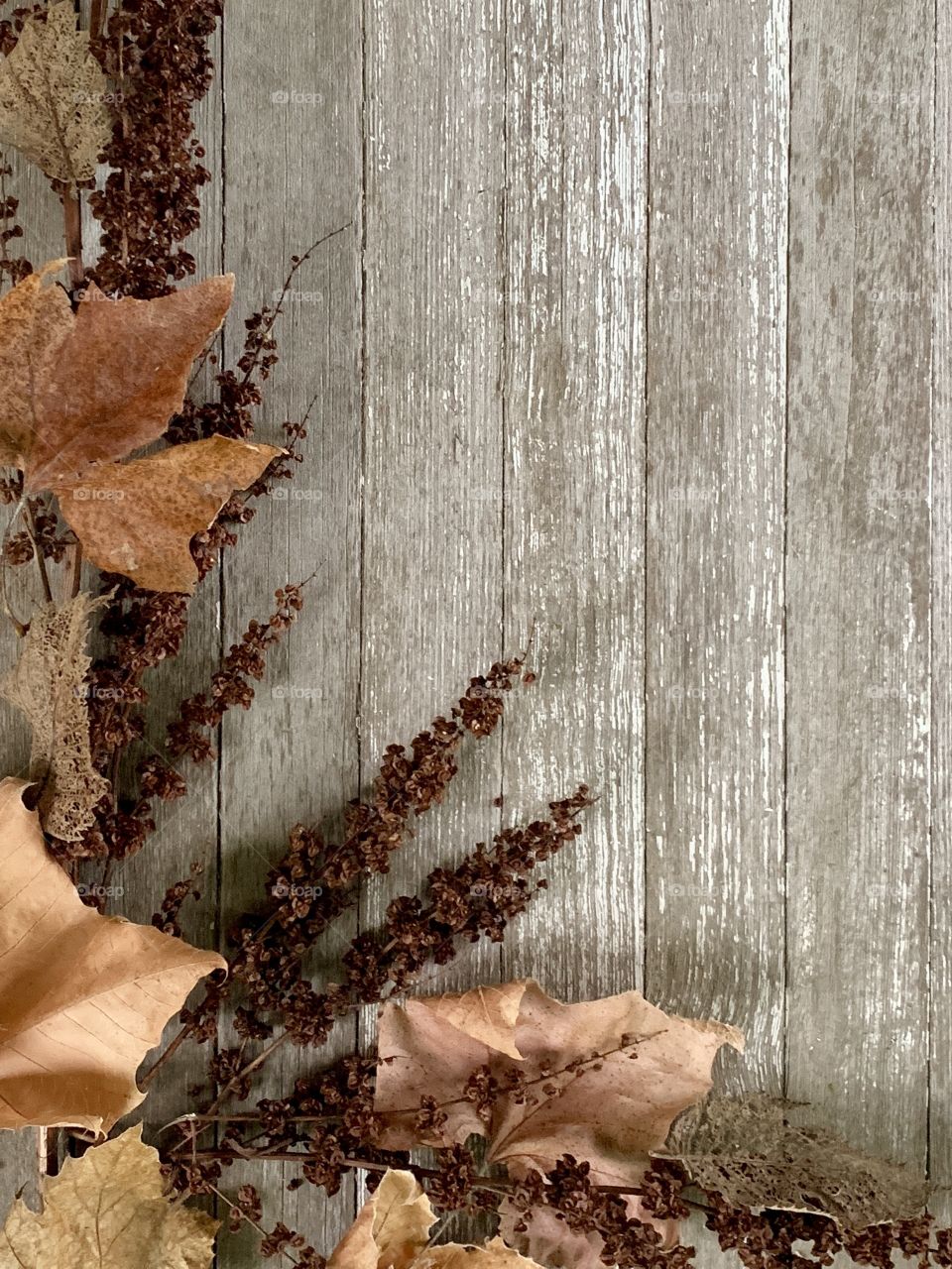 Dried plant and withered leaves in autumn colors on wood with copy space, portrait