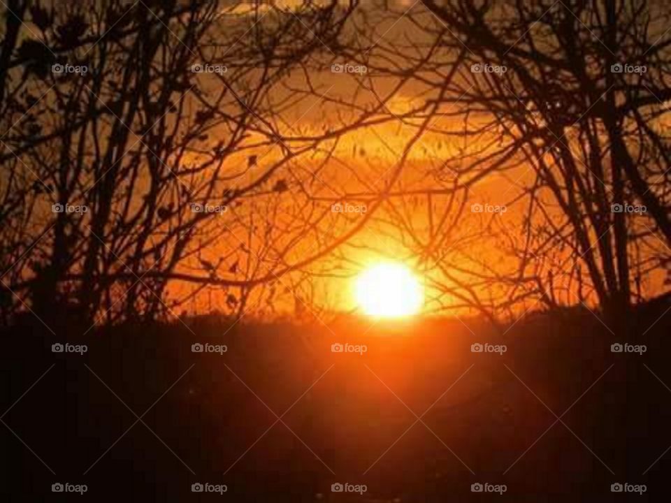 Orange sunset in Maryland