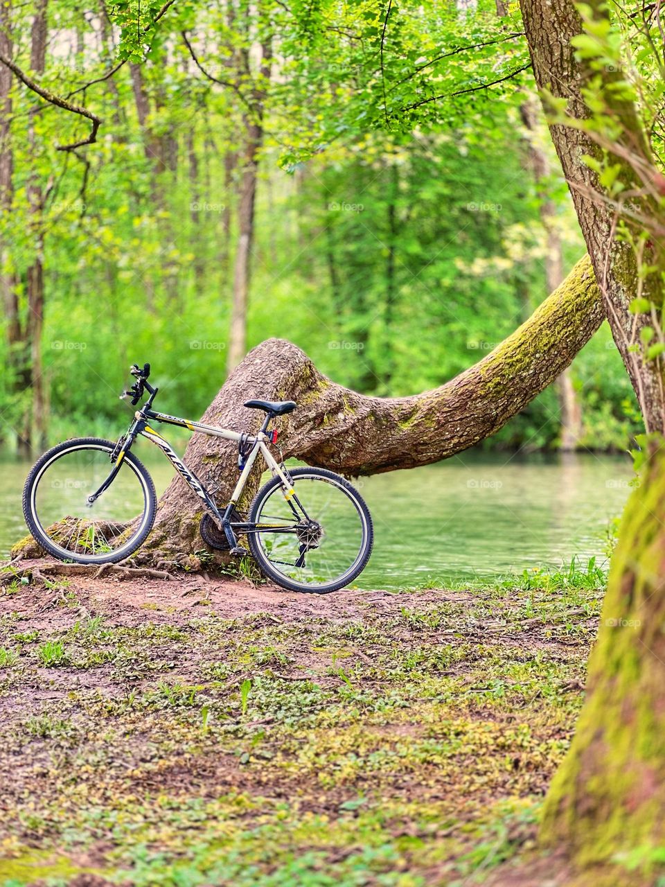 It's time for a bike