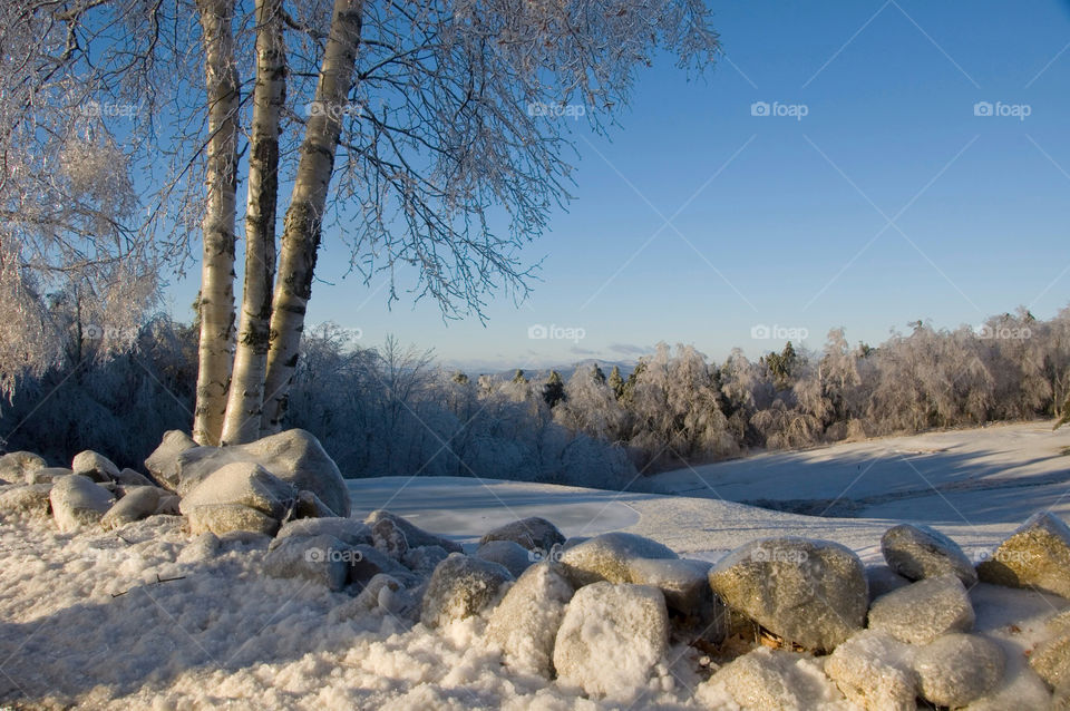 And ice encased landscape of the clear blue morning