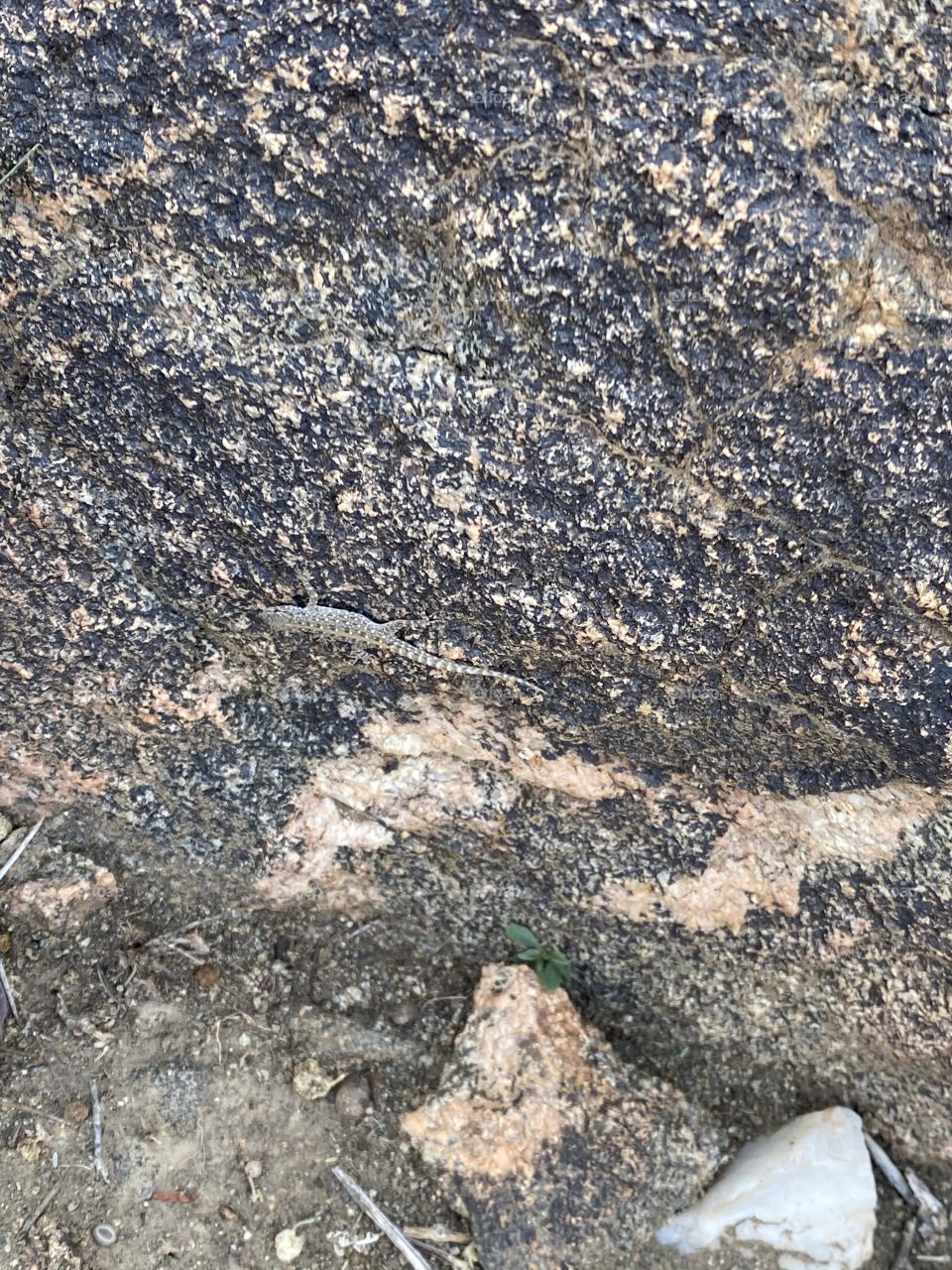 Taif mountains ⛰ rocks ,desert , amazing herbal 