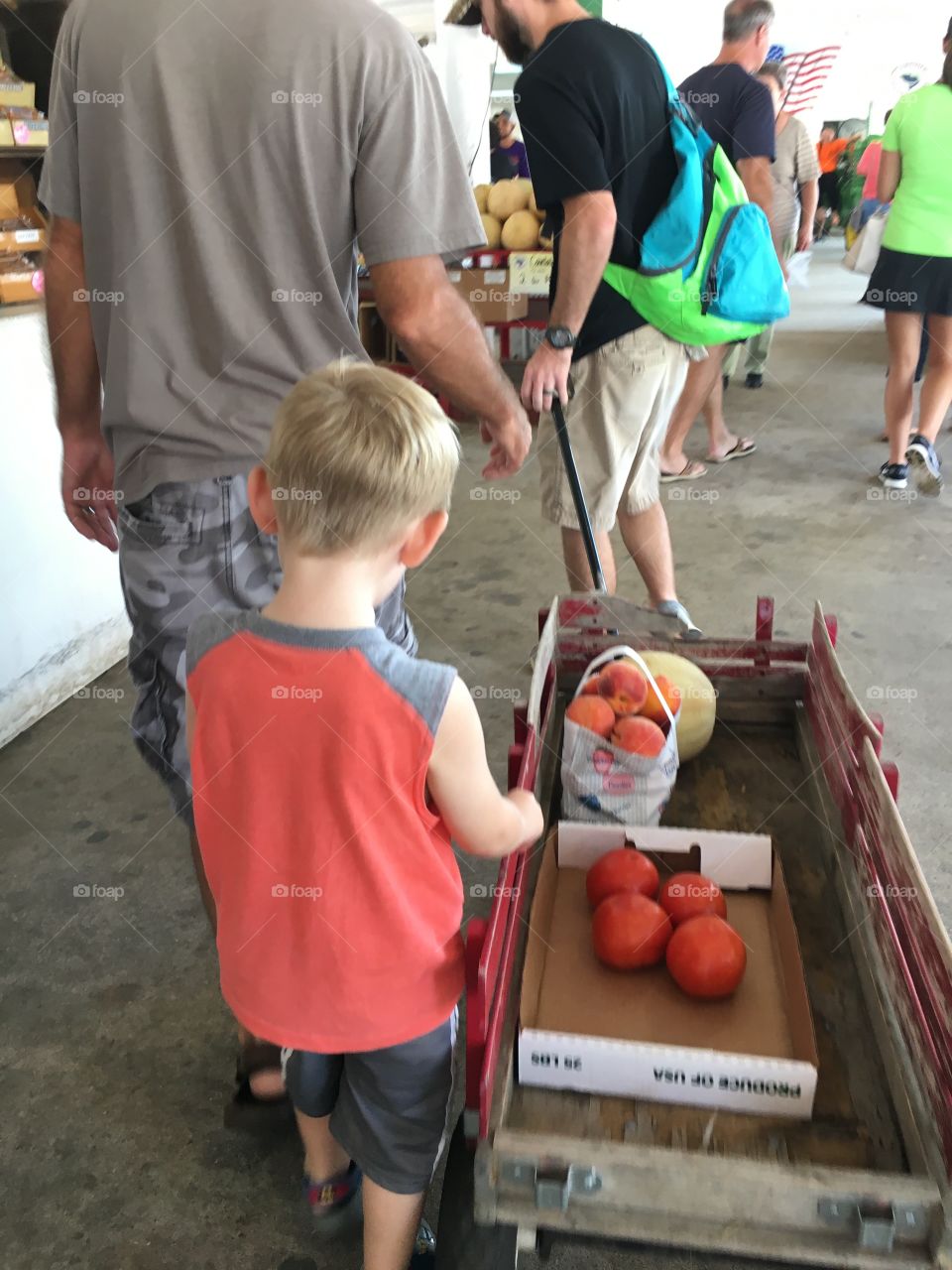 Cuties at the farm 