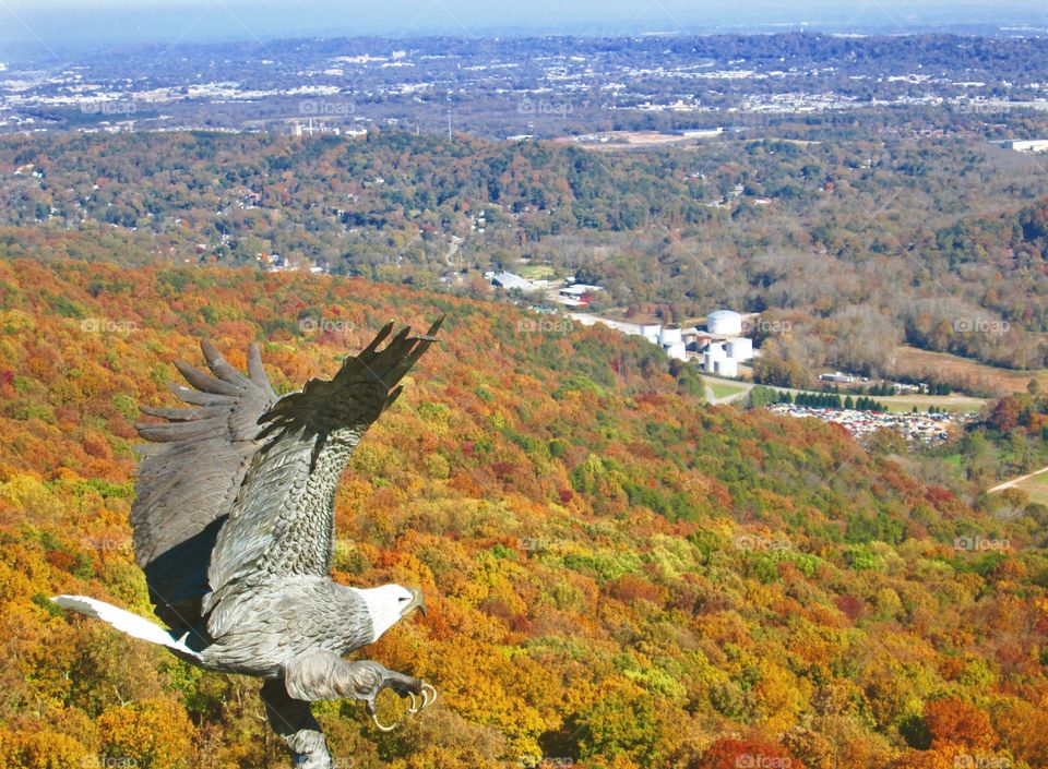 Eagle statue on Lookout Mountain