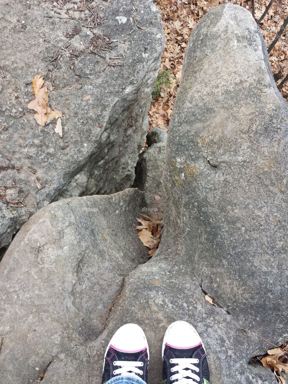 Monkey Mountain Views