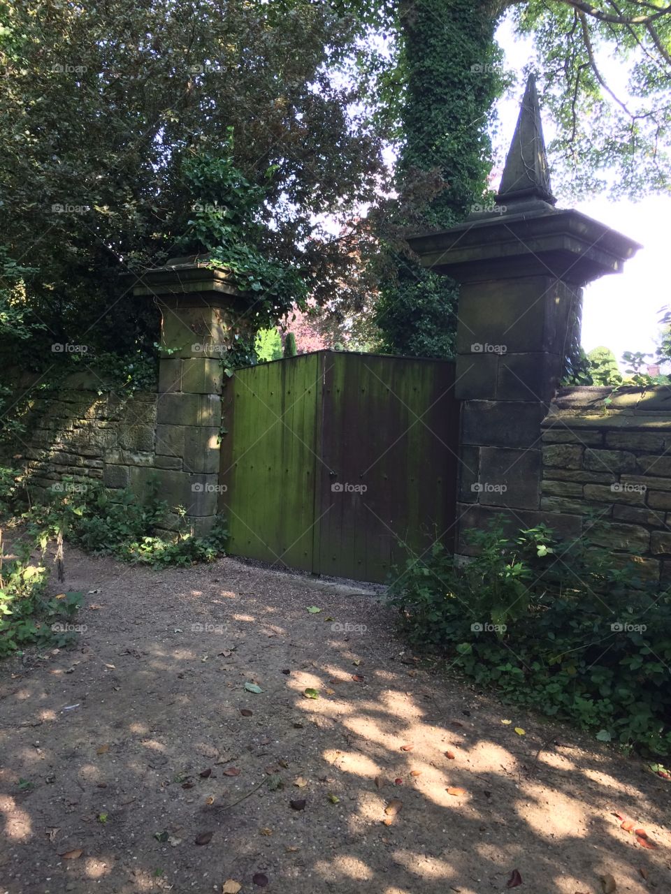 Neglected . Neglected old gate