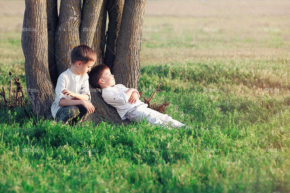 Two boys resting under the tree at the sunset