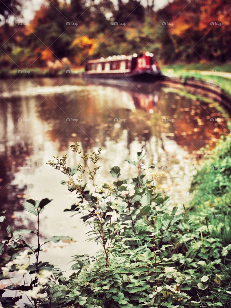 Canal. Narrow boat 