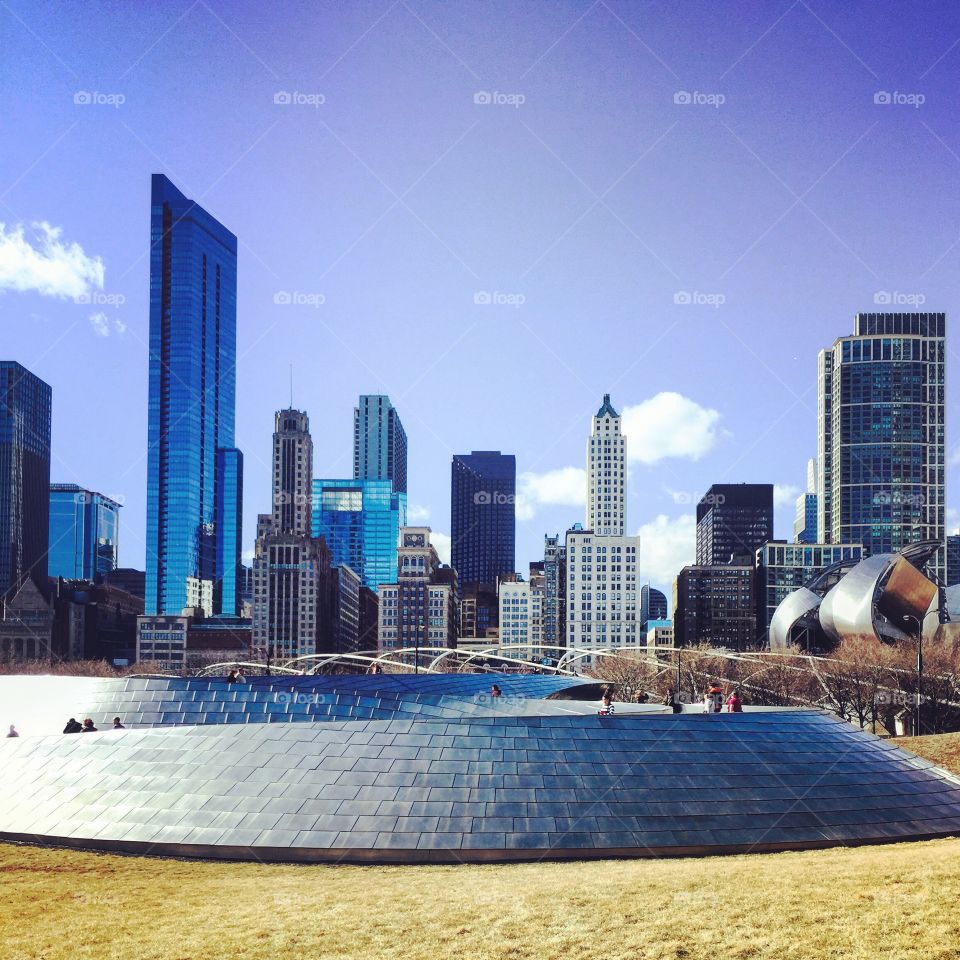 Chicago park skyline