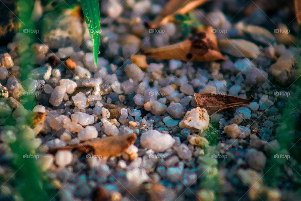 Macro view of rocks and pebbles on the ground 