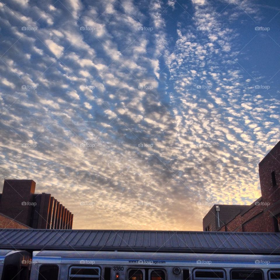 The train in Chicago